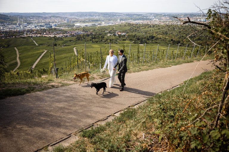 An der Hochzeit gehen Gloria & Samuel spazieren mit den Hunden Gloria & Samuel gehen spazieren mit ihren Hunden an der Hochzeit
