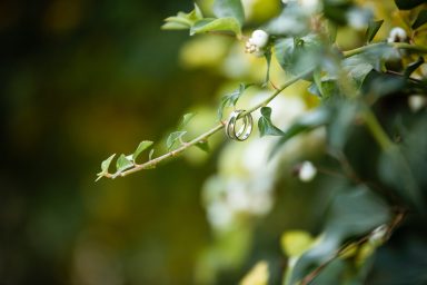 Hochzeitsring hängt an Ast bei Hochzeit in Stuttgart – kreatives Detailfoto, symbolischer Ehering im Natursetting.